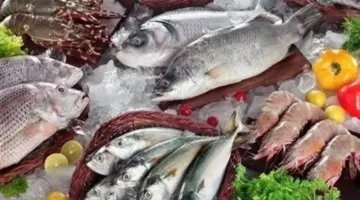 سعر السمك اليوم، هبوط الجمبري الجامبو إلى 1150 جنيها وارتفاع جديد في البلطي